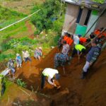 WhatsApp Image 2025-11-07 at 18.11.54