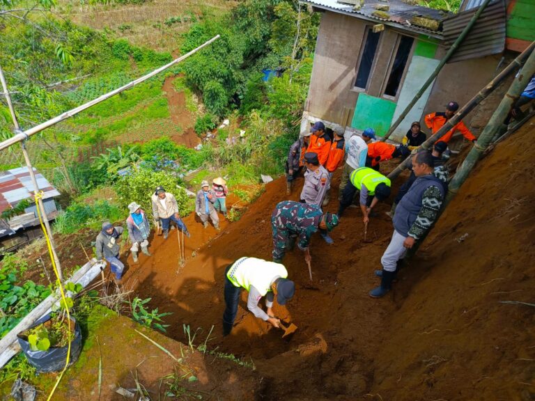 WhatsApp Image 2025-11-07 at 18.11.54