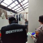 WhatsApp Image 2025-11-11 at 10.17.51