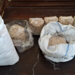 WhatsApp Image 2025-11-11 at 11.51.39 (1)