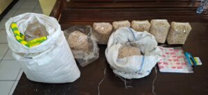 WhatsApp Image 2025-11-11 at 11.51.39 (1)