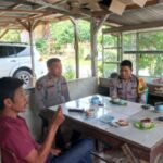 WhatsApp Image 2025-11-12 at 14.43.49