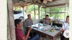 WhatsApp Image 2025-11-12 at 14.43.49