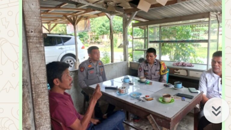 WhatsApp Image 2025-11-12 at 14.43.49