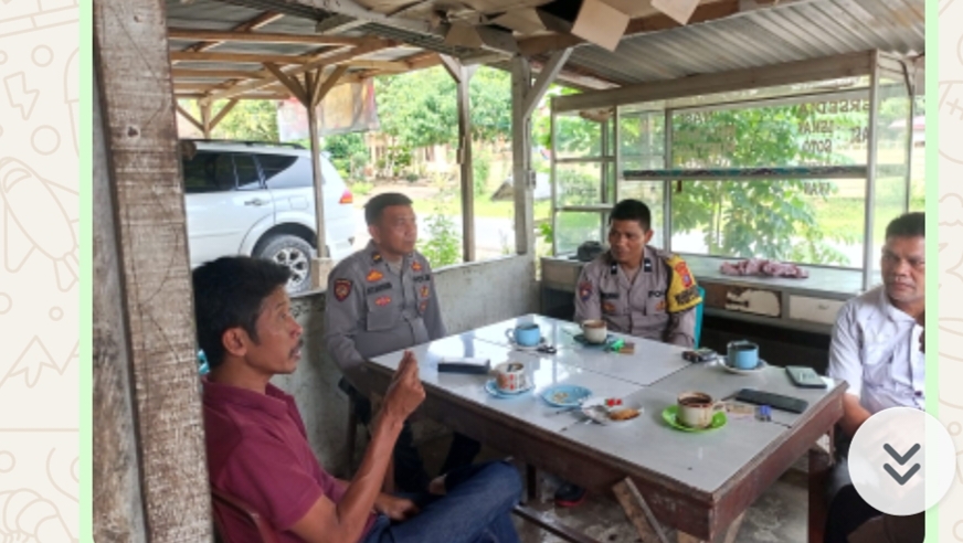 WhatsApp Image 2025-11-12 at 14.43.49