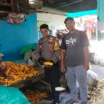 WhatsApp Image 2025-11-12 at 15.34.41