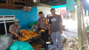 WhatsApp Image 2025-11-12 at 15.34.41