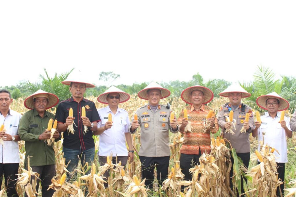 WhatsApp Image 2025-11-12 at 17.52.44