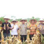 WhatsApp Image 2025-11-12 at 17.52.44