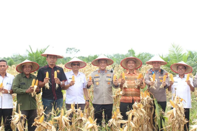 WhatsApp Image 2025-11-12 at 17.52.44