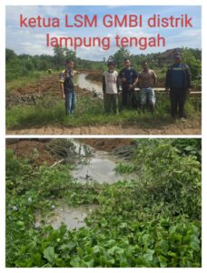 WhatsApp Image 2025-11-23 at 16.23.10