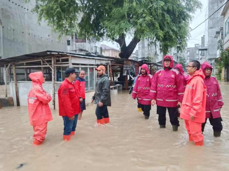 WhatsApp Image 2025-11-27 at 19.11.19