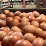 image - 2025-11-16T225844.667