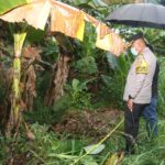 image - 2025-11-18T232108.548