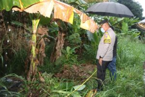 image - 2025-11-18T232108.548