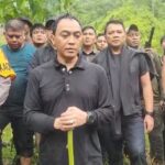 image - 2025-11-20T105550.094