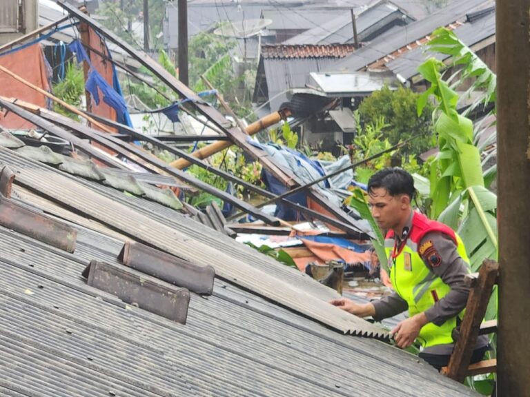 WhatsApp Image 2025-12-04 at 16.54.26