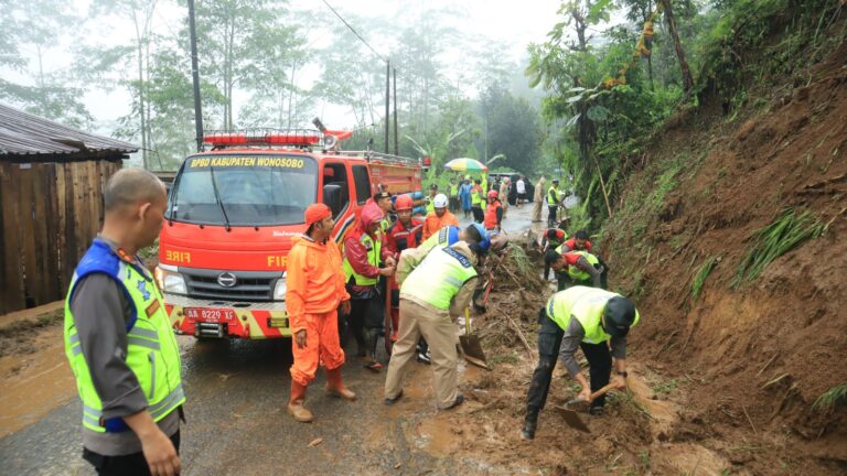 WhatsApp Image 2025-12-05 at 00.05.21