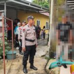 WhatsApp Image 2025-12-10 at 09.55.01