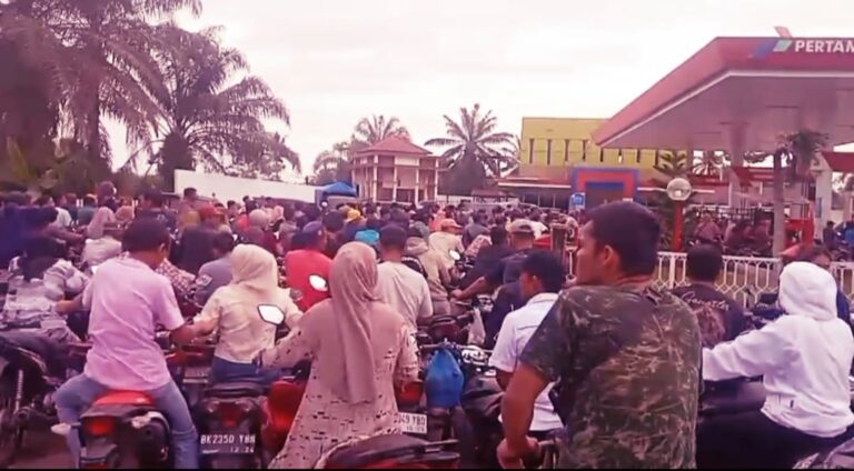 WhatsApp Image 2025-12-11 at 15.55.29 (1)