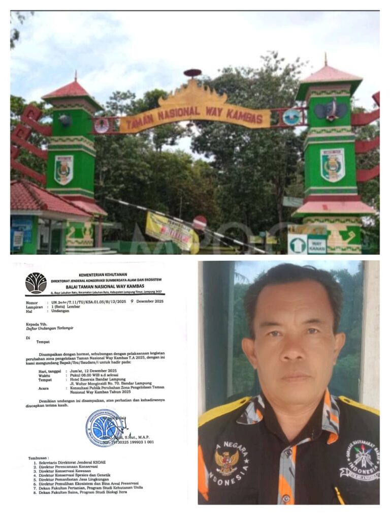 WhatsApp Image 2025-12-11 at 19.06.16