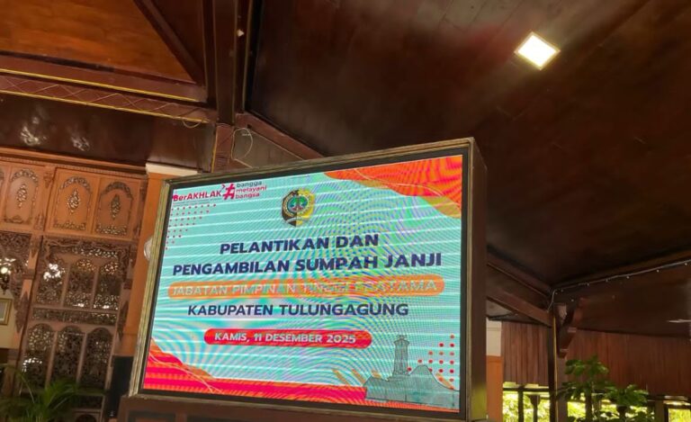 WhatsApp Image 2025-12-12 at 14.08.44