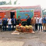 WhatsApp Image 2025-12-14 at 15.28.47