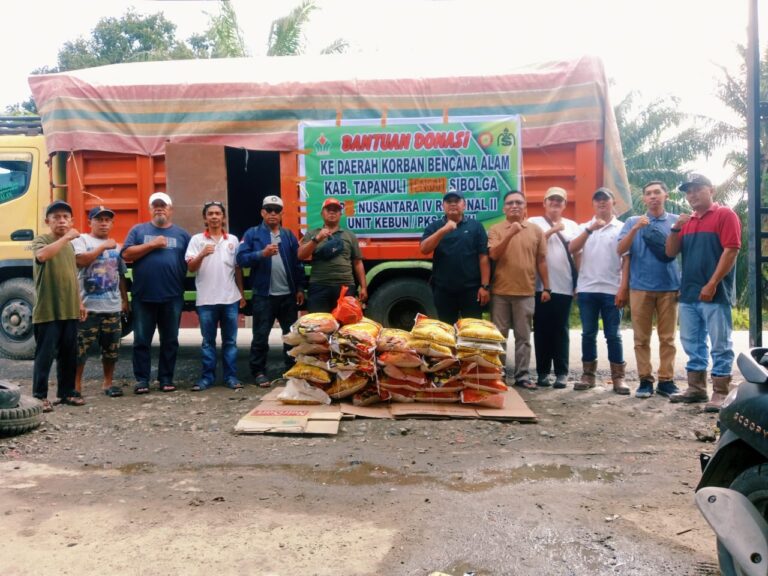 WhatsApp Image 2025-12-14 at 15.28.47