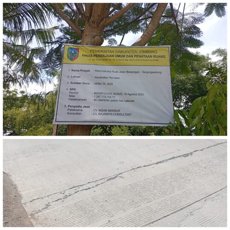 WhatsApp Image 2025-12-16 at 19.23.51