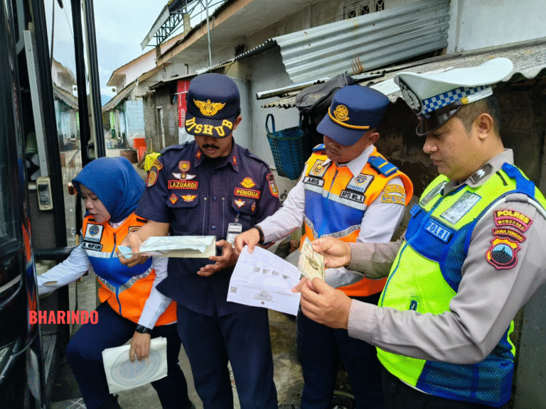 WhatsApp Image 2025-12-18 at 12.07.57