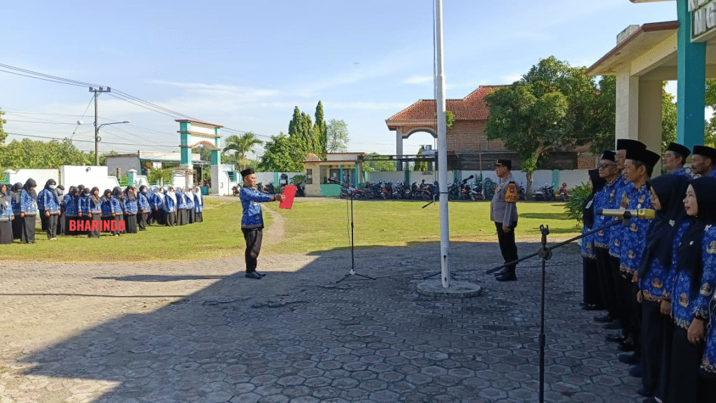 WhatsApp Image 2025-12-18 at 12.59.11