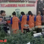 WhatsApp Image 2025-12-19 at 08.39.54