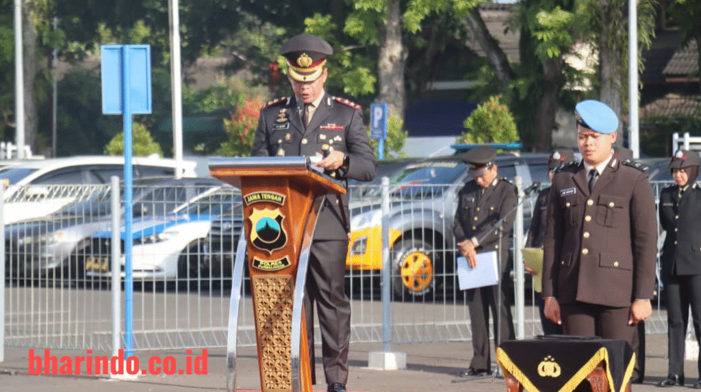 WhatsApp Image 2025-12-19 at 12.49.04