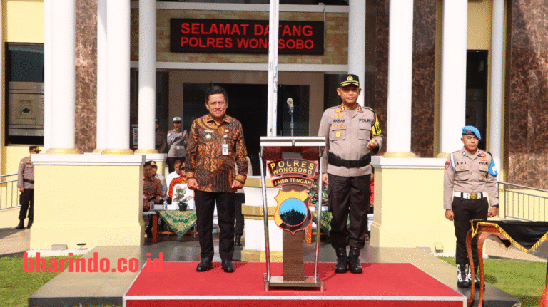 WhatsApp Image 2025-12-19 at 19.10.51