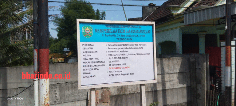 WhatsApp Image 2025-12-19 at 23.06.53