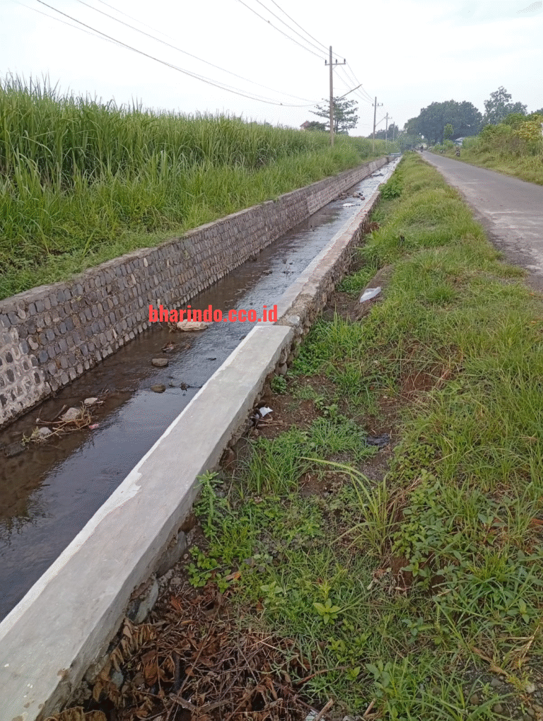 WhatsApp Image 2025-12-21 at 16.09.58 (2)