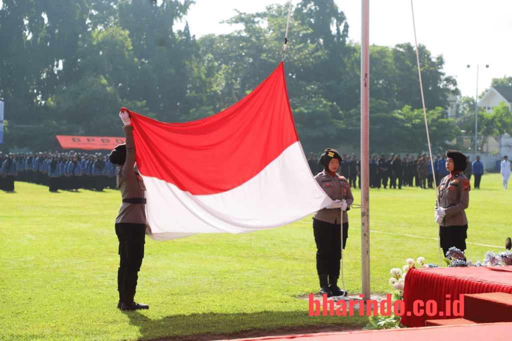 WhatsApp Image 2025-12-22 at 16.40.57