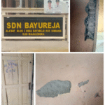 WhatsApp Image 2025-12-23 at 16.30.52 (1)