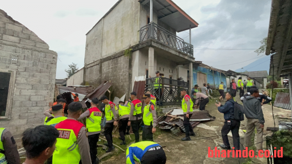 WhatsApp Image 2025-12-24 at 16.16.33