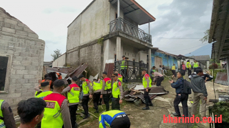 WhatsApp Image 2025-12-24 at 16.16.33