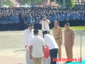 WhatsApp Image 2025-12-25 at 13.07.44