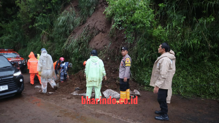 WhatsApp Image 2025-12-26 at 09.11.45 (1)