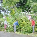 WhatsApp Image 2025-12-28 at 12.31.49