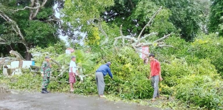 WhatsApp Image 2025-12-28 at 12.31.49