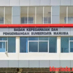 WhatsApp Image 2025-12-30 at 00.55.55