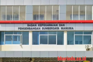 WhatsApp Image 2025-12-30 at 00.55.55