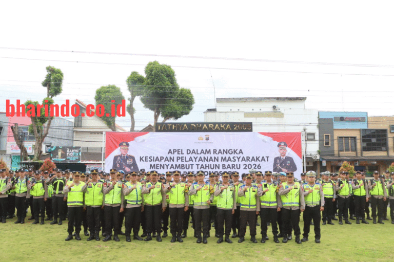 WhatsApp Image 2025-12-31 at 10.50.48