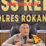 WhatsApp Image 2025-12-31 at 13.46.30