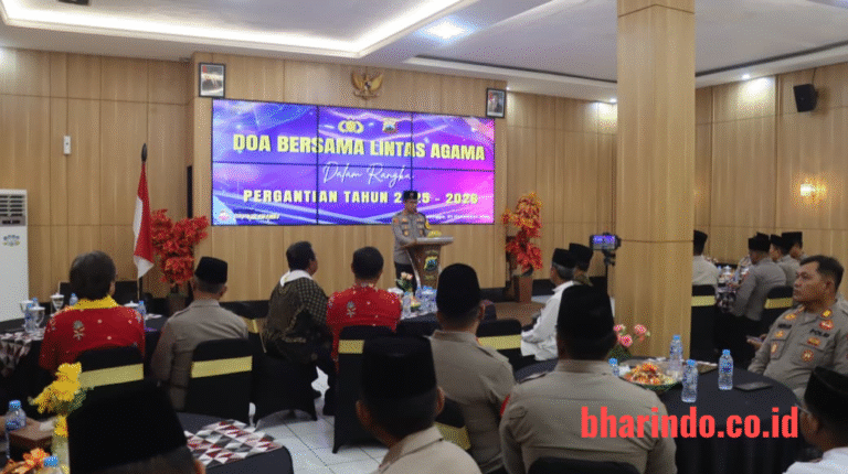 WhatsApp Image 2025-12-31 at 15.13.46