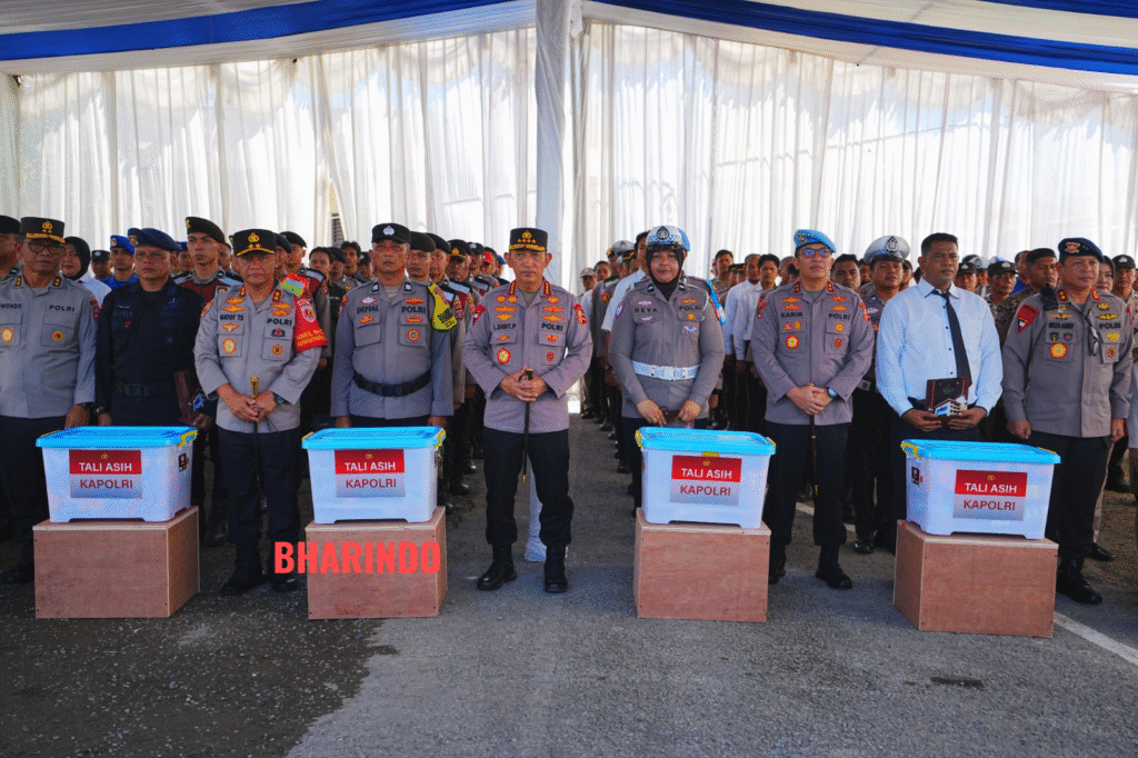 bb8ddd4e-9cf8-4e48-ad60-8f127758c3a5_23941